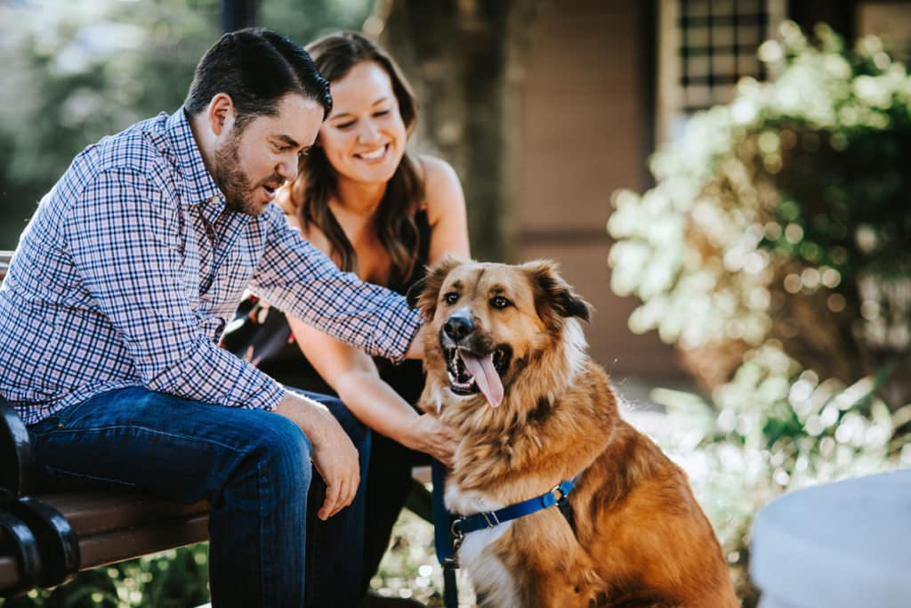 engagement photos with pets