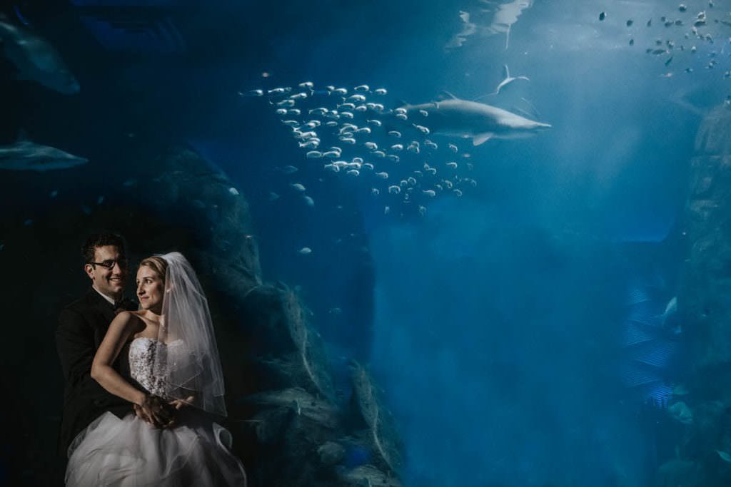 Camden aquarium wedding photographer
